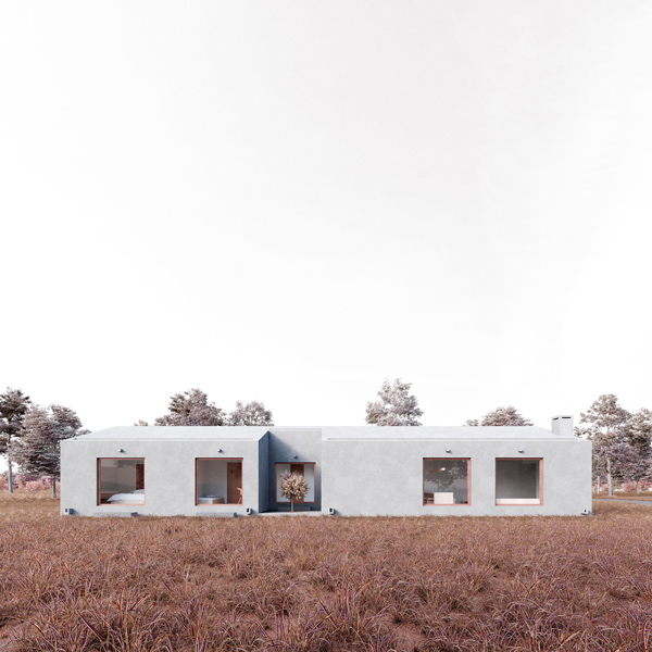 twin house