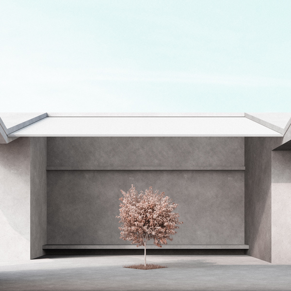 twin house