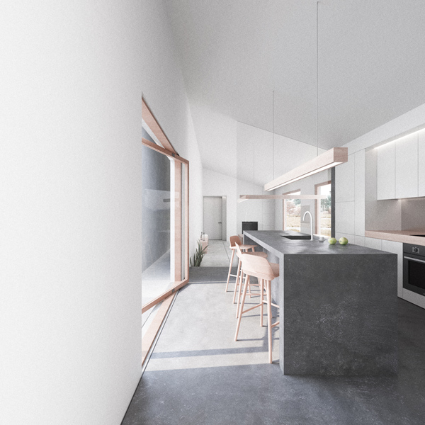 twin house
